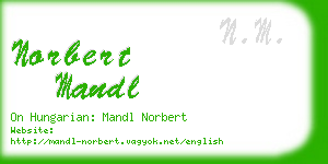 norbert mandl business card